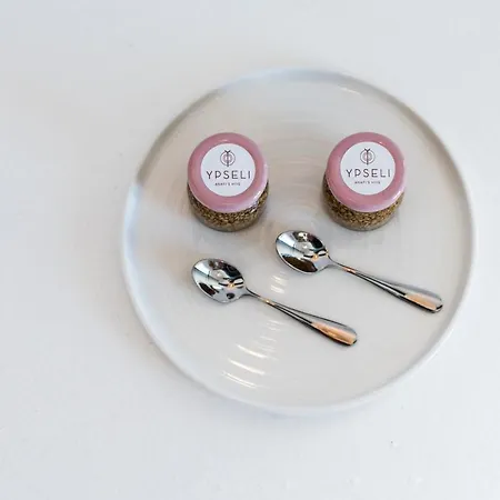 Ypseli Anafi's Hive מלון 2*