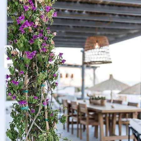 Ypseli Anafi's Hive אנאפי