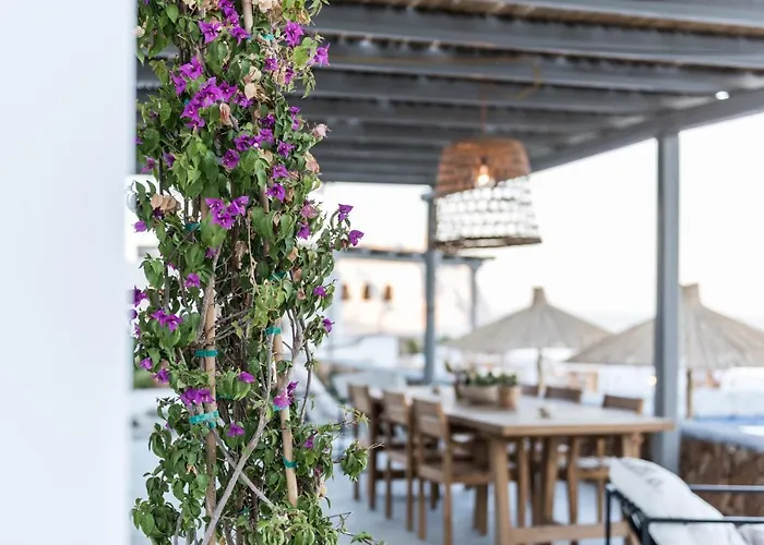 Ypseli Anafi's Hive Anafi