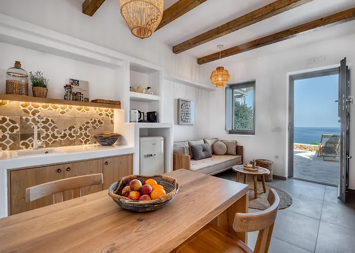 Ypseli Anafi's Hive 2*